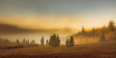 Dawn Mist -  Don Schwartz - McGaw Graphics