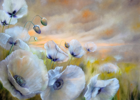 White Poppies in Summer Wind