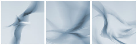Flying Albatross Abstract -  Norm Stelfox - McGaw Graphics