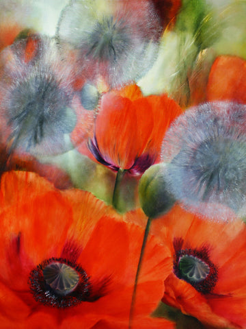 Poppies and Dandelions