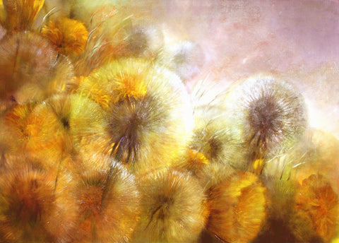 Dandelions in Late Evening