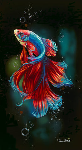 Absolutely Splendid, Betta in Blue -  Conni Treant - McGaw Graphics