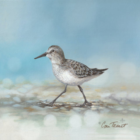 Blues on the Beach 1, Lou -  Conni Treant - McGaw Graphics