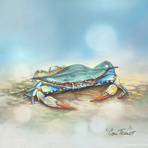 Blues on the Beach 2, Tommy -  Conni Treant - McGaw Graphics