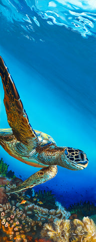 Turtles Blue Wonderland -  Conni Treant - McGaw Graphics