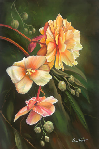 Orchids After Dusk -  Conni Treant - McGaw Graphics