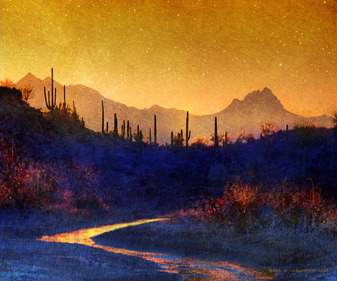 Sunset Saguaros Stream