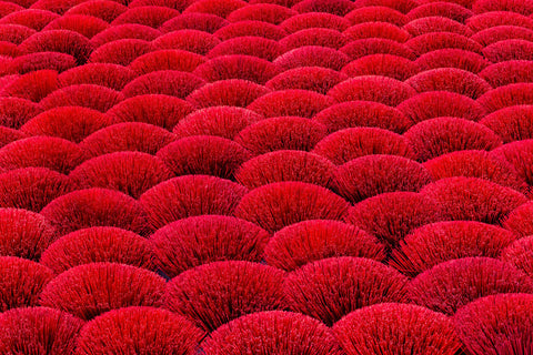 The Hanoi Incense Village