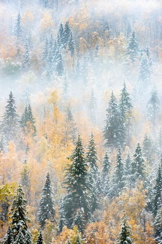 Winter’s First Breath