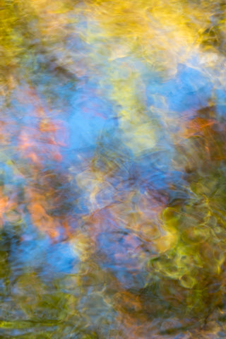 Ripples of Autumn