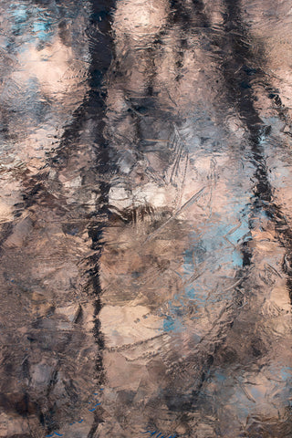 Frozen Reflections