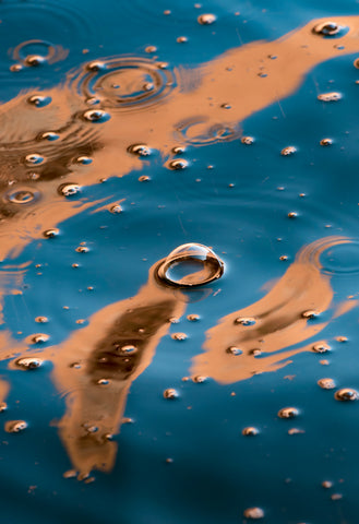 Mocha Reflections I