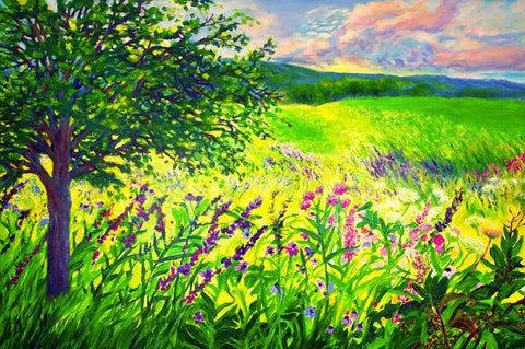 Prairie Solstice
