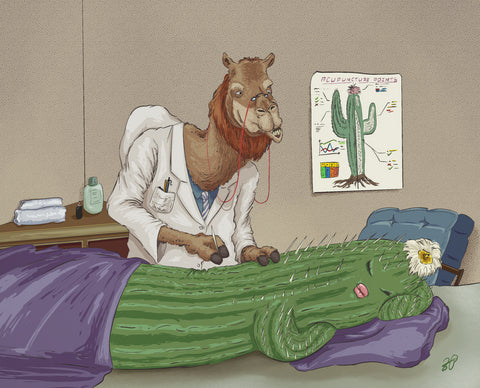 Dr. O’Hump Acupuncture