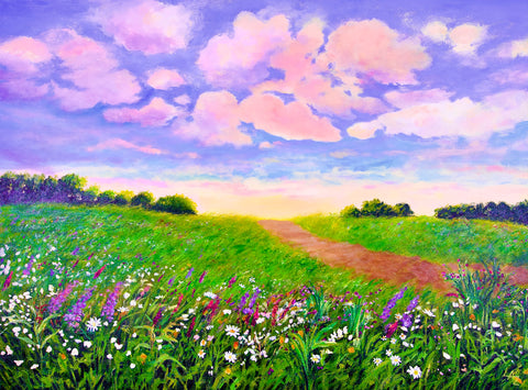 Grassy Flower Meadow