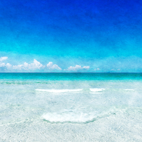 Into the Blue I -  Christine Zalewski - McGaw Graphics