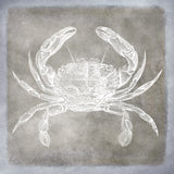 Vintage Sea Life in Shades of Pewter I -  Christine Zalewski - McGaw Graphics
