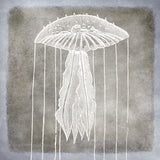 Vintage Sea Life in Shades of Pewter II -  Christine Zalewski - McGaw Graphics