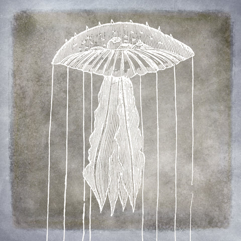 Vintage Sea Life in Shades of Pewter II -  Christine Zalewski - McGaw Graphics