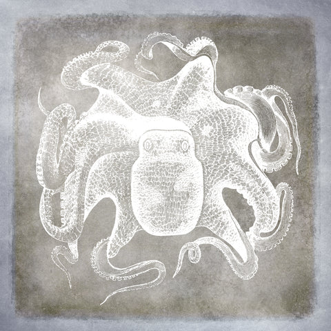 Vintage Sea Life in Shades of Pewter III -  Christine Zalewski - McGaw Graphics