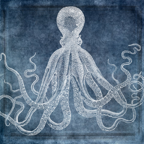 Octopus Dreams II -  Christine Zalewski - McGaw Graphics