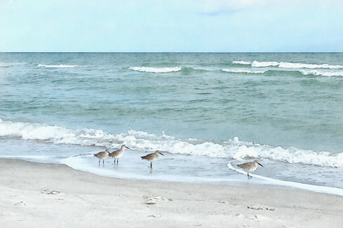 Beach Landscape with Sandpipers -  Christine Zalewski - McGaw Graphics