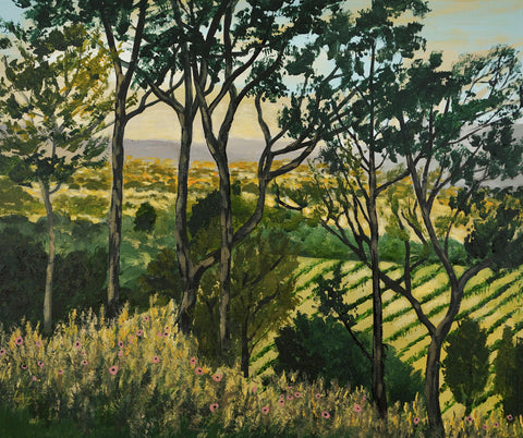 Light in Provence