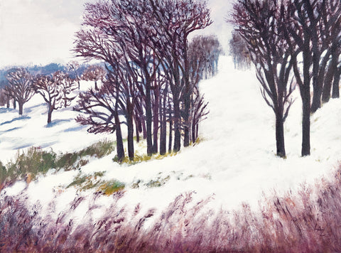 Winter Blanket -  Lee Ann Zirbes - McGaw Graphics