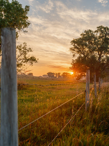 First Light on the Prairie