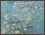 Almond Blossom, 1890 (Framed) -  Vincent van Gogh - McGaw Graphics