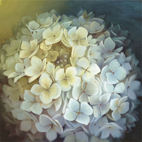 Hydrangea Portrait -  Lisa Audit - McGaw Graphics