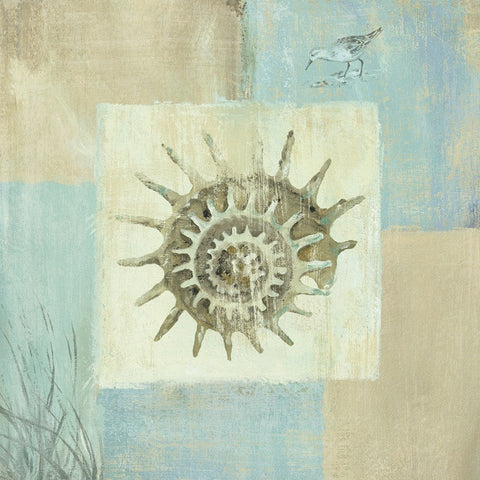 Sea Finds III -  Lisa Audit - McGaw Graphics