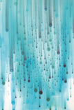 Rain -  Candice Alford - McGaw Graphics