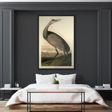 Hooping Crane -  John James Audubon - McGaw Graphics