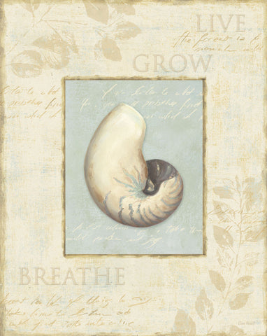 Soothing Words Shells II -  Lisa Audit - McGaw Graphics