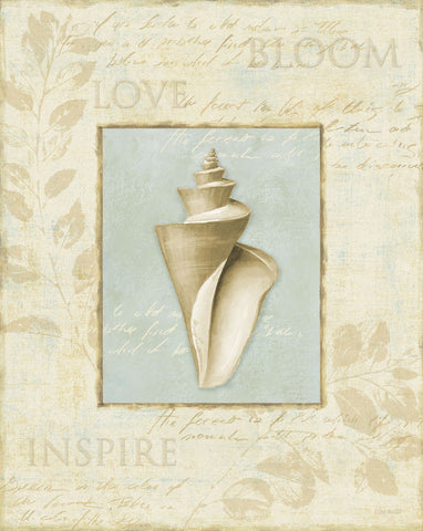 Soothing Words Shells III -  Lisa Audit - McGaw Graphics