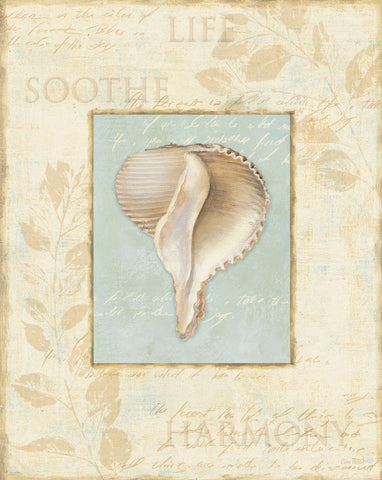 Soothing Words Shells IV -  Lisa Audit - McGaw Graphics