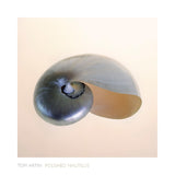 Polished Nautilus -  Tom Artin - McGaw Graphics