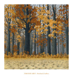 Autumn Wood -  Timothy Arzt - McGaw Graphics
