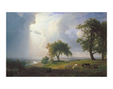 California Spring, 1875 -  Albert Bierstadt - McGaw Graphics