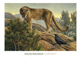 Curiosity -  Kalon Baughan - McGaw Graphics