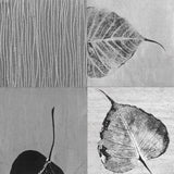 Leaf Quad -  Anna Becker - McGaw Graphics
