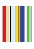 Curry Stripe -  Dan Bleier - McGaw Graphics