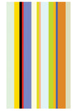 Paprika Stripe -  Dan Bleier - McGaw Graphics