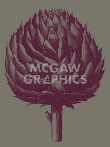 Artichoke (grey-plum) -  Botanical Series - McGaw Graphics