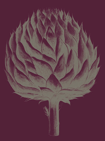 Artichoke (plum-grey) -  Botanical Series - McGaw Graphics
