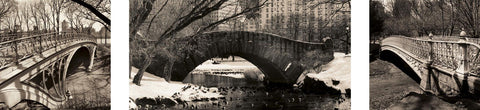 Central Park Bridges (tryptych) -  Chris Bliss - McGaw Graphics