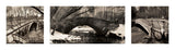 Central Park Bridges (tryptych) -  Chris Bliss - McGaw Graphics