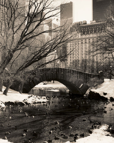 Central Park Bridges 4 -  Chris Bliss - McGaw Graphics