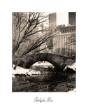Central Park Bridges 4 -  Chris Bliss - McGaw Graphics